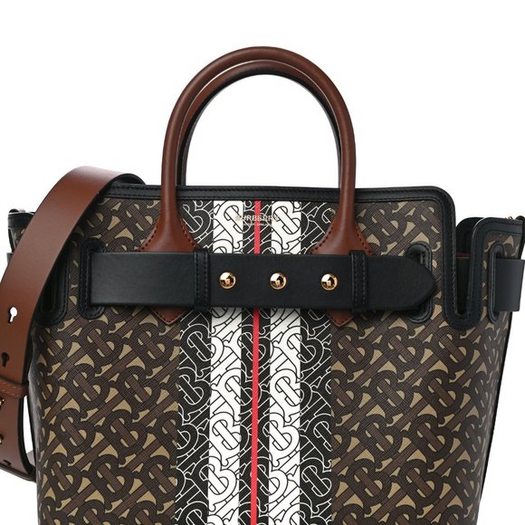 BURBERRY E Canvas Monogram Stripe Small Belt Tote Brown Handbag Bag 8019351 New - Picture 3 of 11